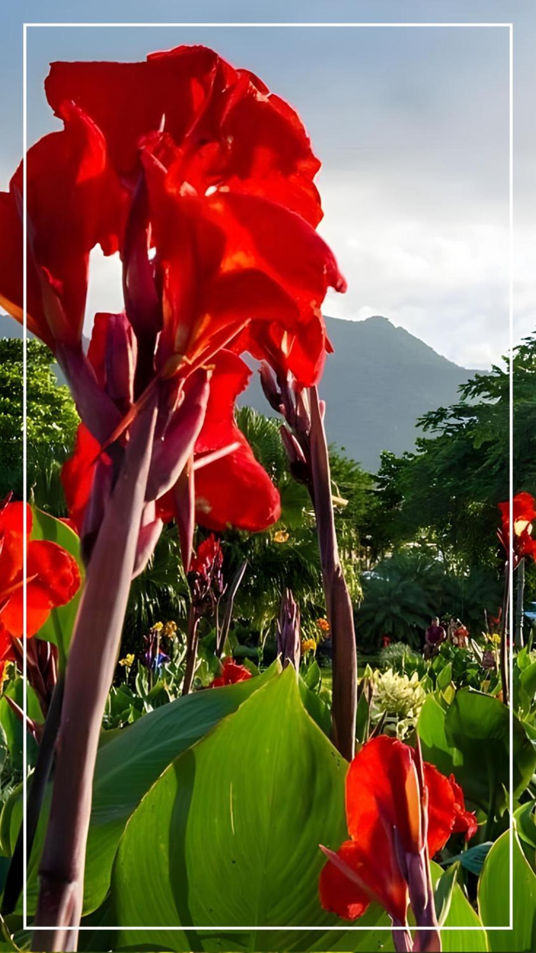 Destino Hotel & Hot Springs - Lujoso Hotel En Provincia Guanacaste, San Bernando De Bagaces, Bagaces Екстериор снимка