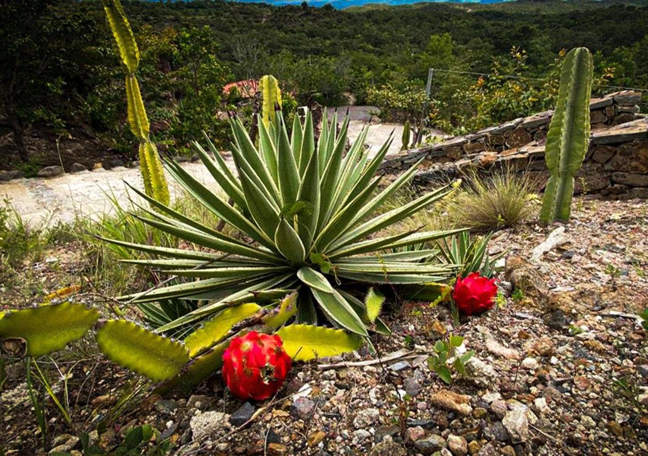 Destino Hotel & Hot Springs - Lujoso Hotel En Provincia Guanacaste, San Bernando De Bagaces, Bagaces Екстериор снимка